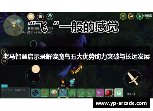 老马智慧启示录解读魔鸟五大优势助力突破与长远发展