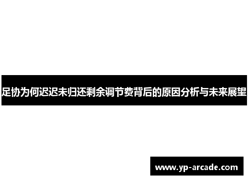 足协为何迟迟未归还剩余调节费背后的原因分析与未来展望