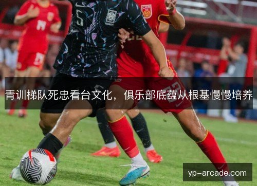青训梯队死忠看台文化，俱乐部底蕴从根基慢慢培养